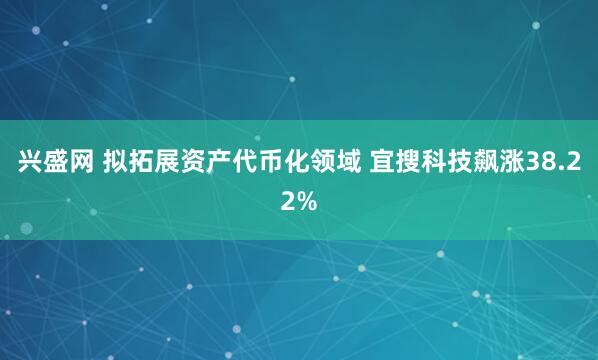 兴盛网 拟拓展资产代币化领域 宜搜科技飙涨38.22%