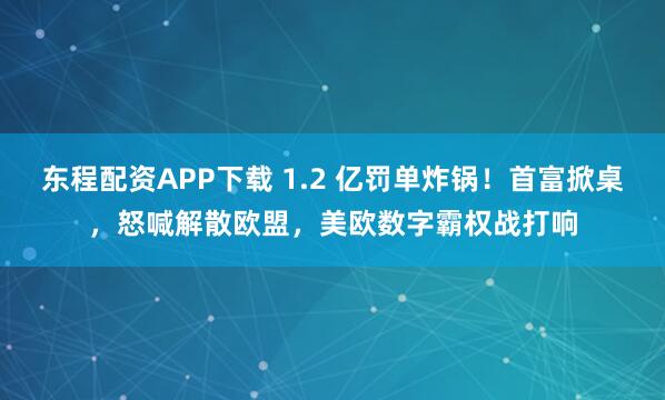 东程配资APP下载 1.2 亿罚单炸锅！首富掀桌，怒喊解散欧盟，美欧数字霸权战打响